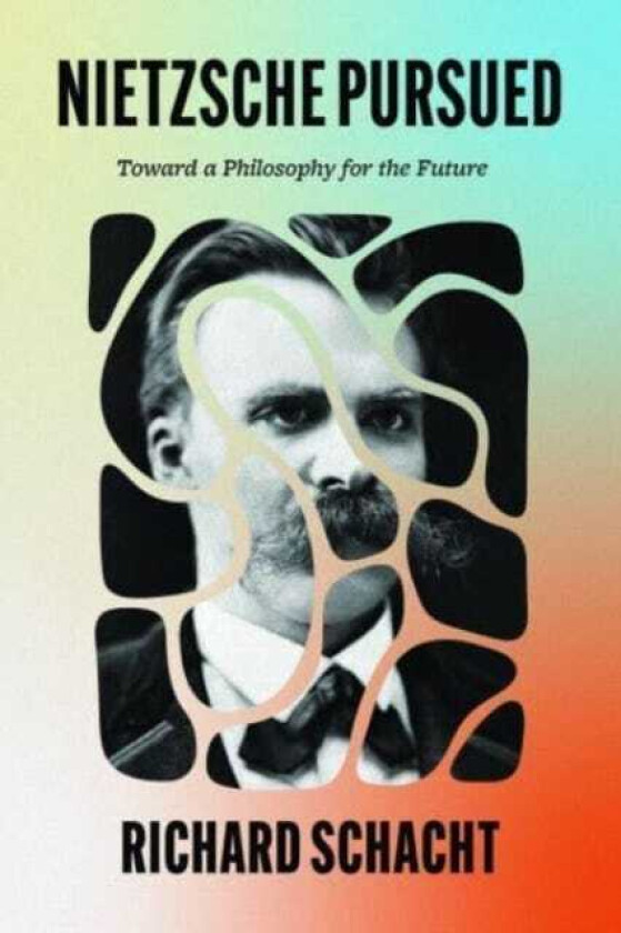 Nietzsche Pursued Toward a Philosophy for the Future