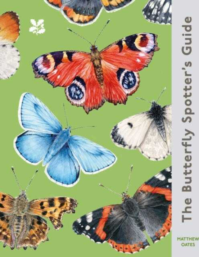 The Butterfly Spotter’s Guide