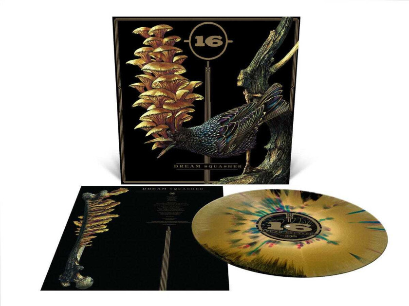 16 Dream Squasher LP/Vinyl