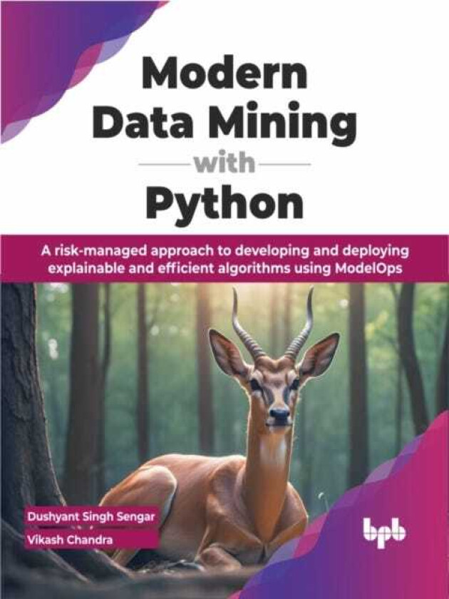 Modern Data Mining with Python A riskmanaged approach to developing and deploying explainable and efficient algorithms using ModelOps