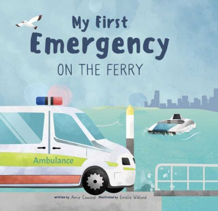 My First Emergency On the Ferry