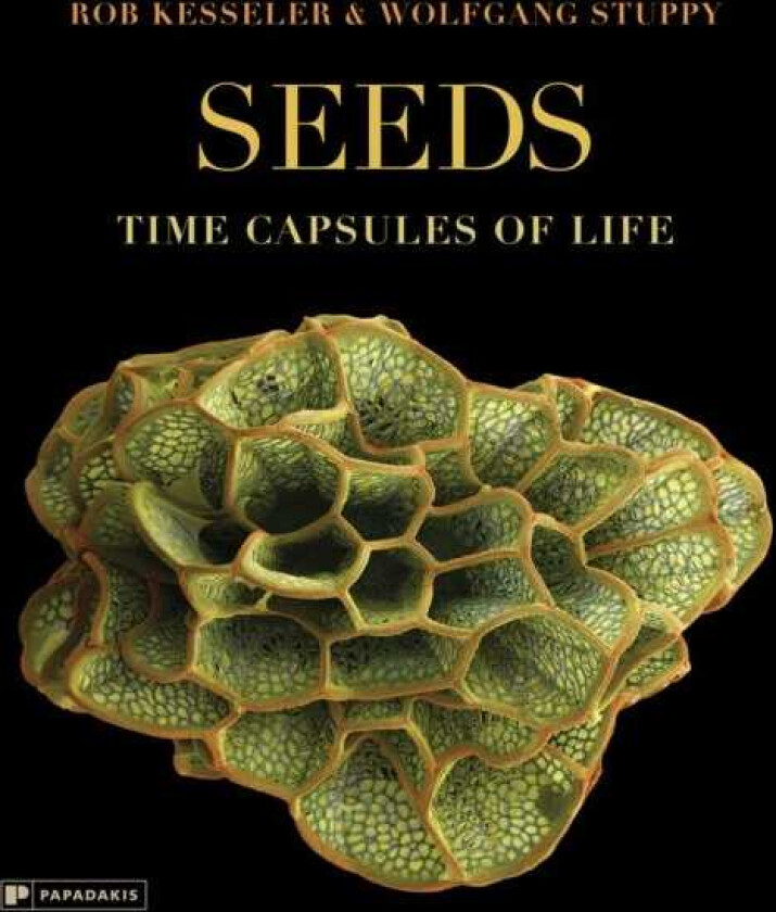Seeds Time Capsules of Life
