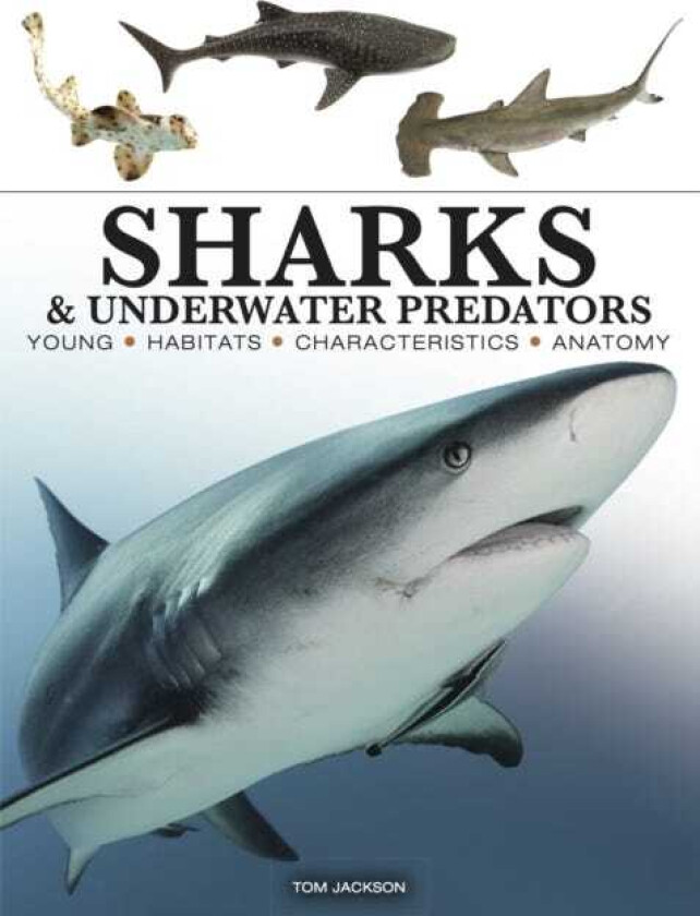 Sharks & Underwater Predators