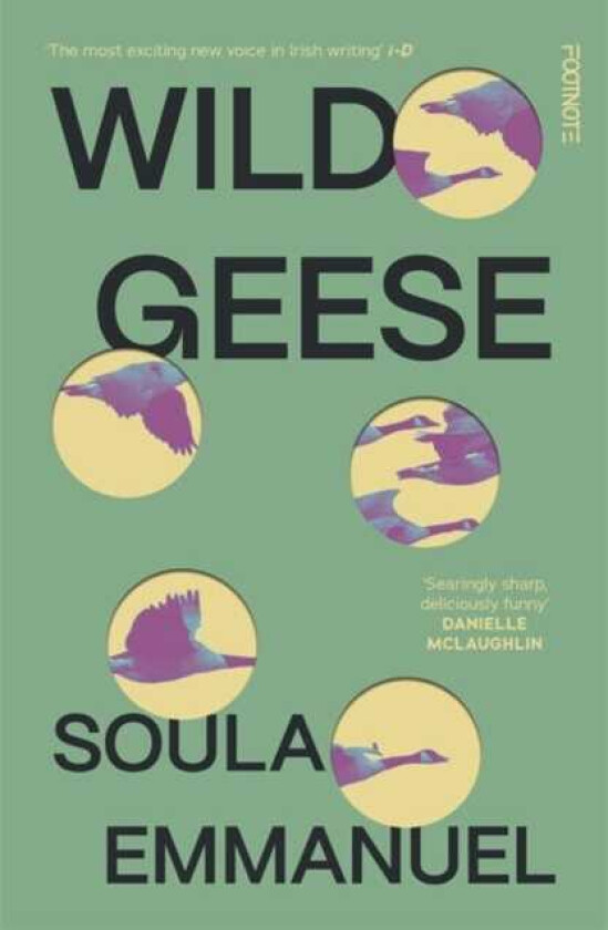 Wild Geese  the LAMBDA and GORDON BOWKER VOLCANO PRIZE winner