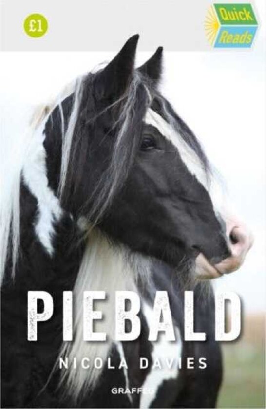 Bilde av Piebald