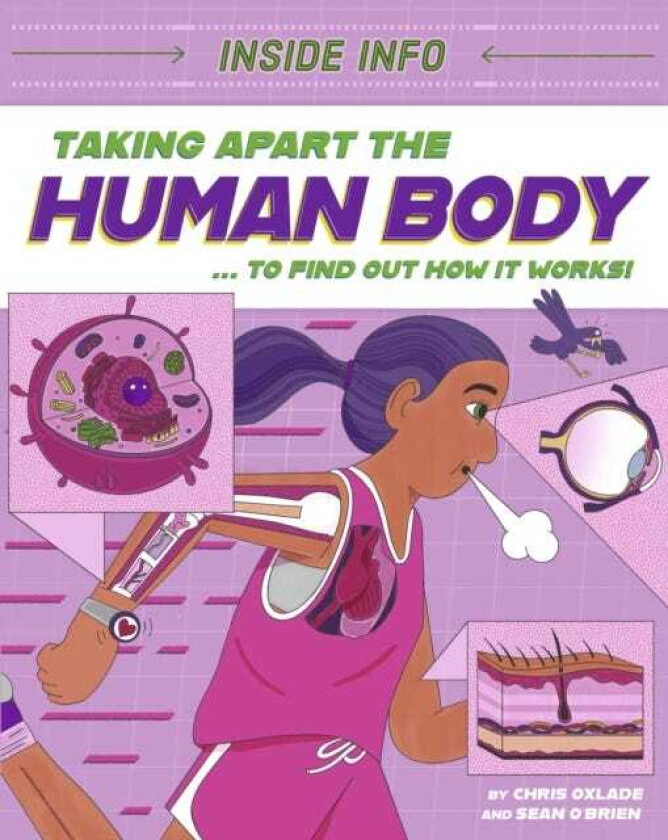 Inside Info: Taking Apart the Human Body ... to find out how it works!