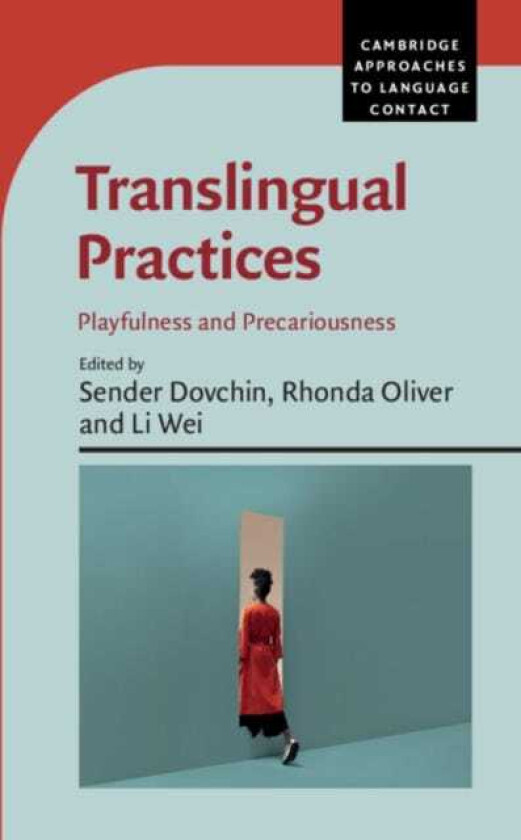 Translingual Practices  Playfulness and Precariousness