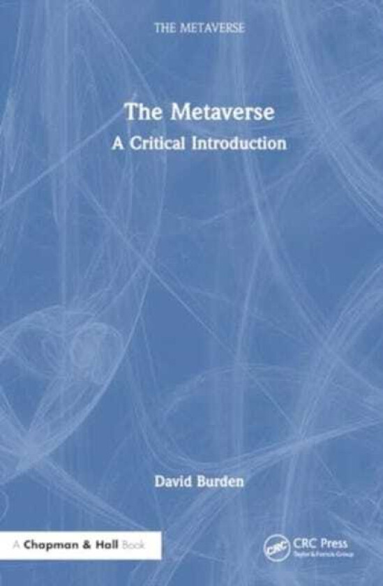 The Metaverse A Critical Introduction