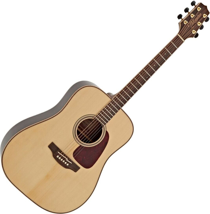 GD93 Dreadnought Acoustic Natural