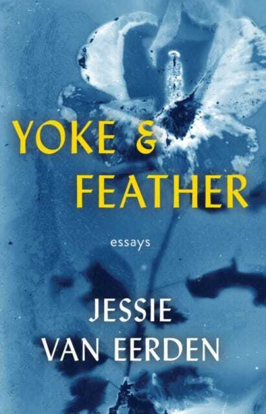 Yoke and Feather