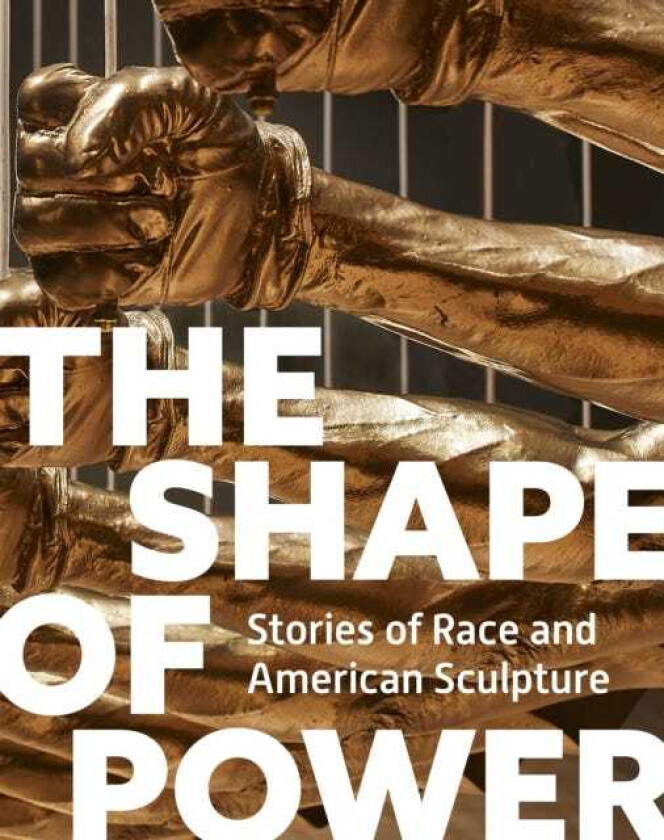 The Shape of Power Stories of Race and American Sculpture