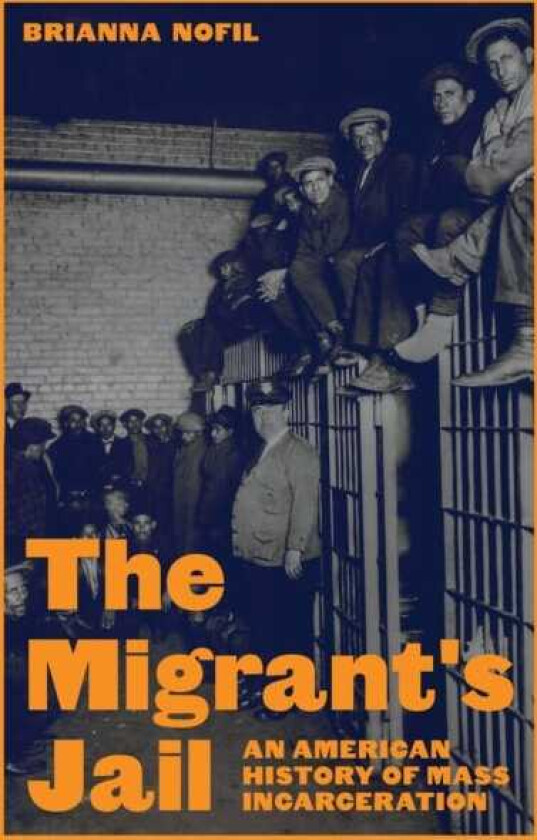 The Migrant's Jail An American History of Mass Incarceration