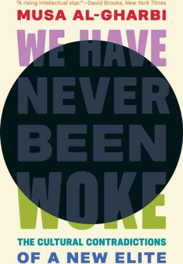 We Have Never Been Woke The Cultural Contradictions of a New Elite