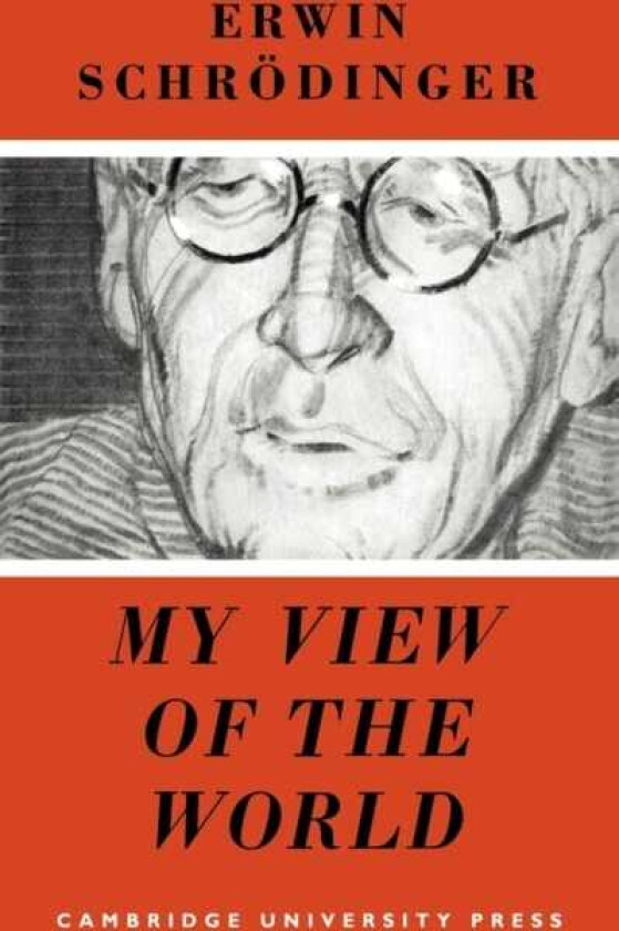 My View of the World