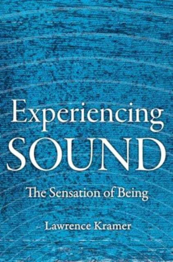 Experiencing Sound  The Sensation of Being