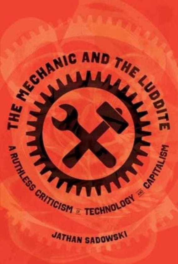The Mechanic and the Luddite A Ruthless Criticism of Technology and Capitalism