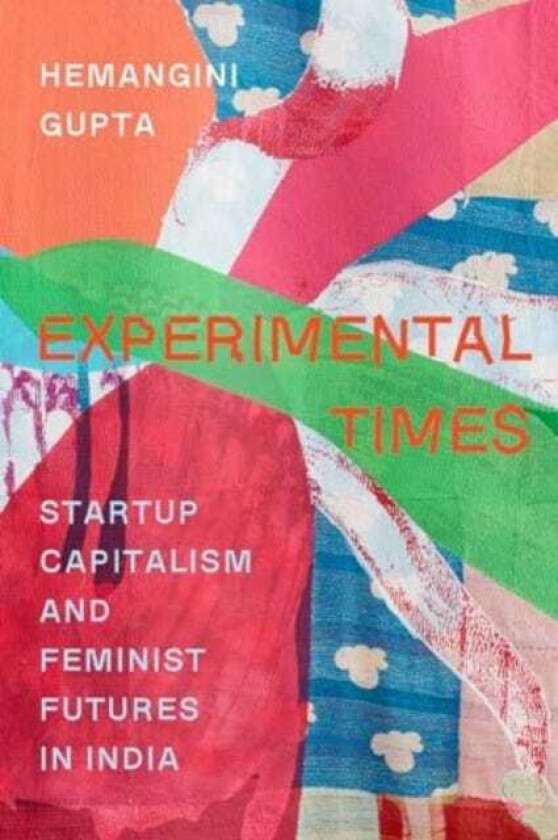 Experimental Times Startup Capitalism and Feminist Futures in India
