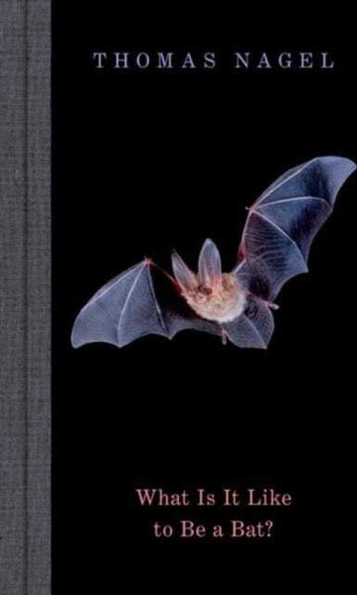 What Is It Like to Be a Bat?