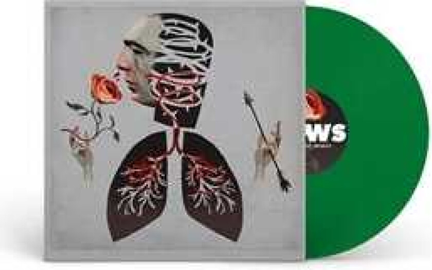Hot Water Music Vows LP/Vinyl