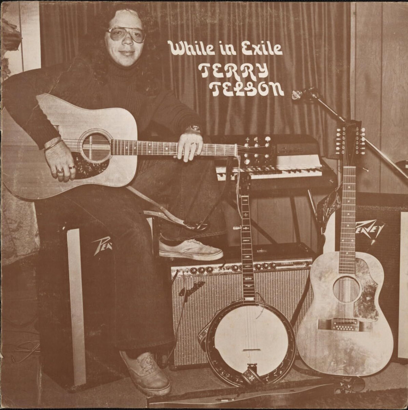 Terry Telson  While In Exile  LP/Vinyl