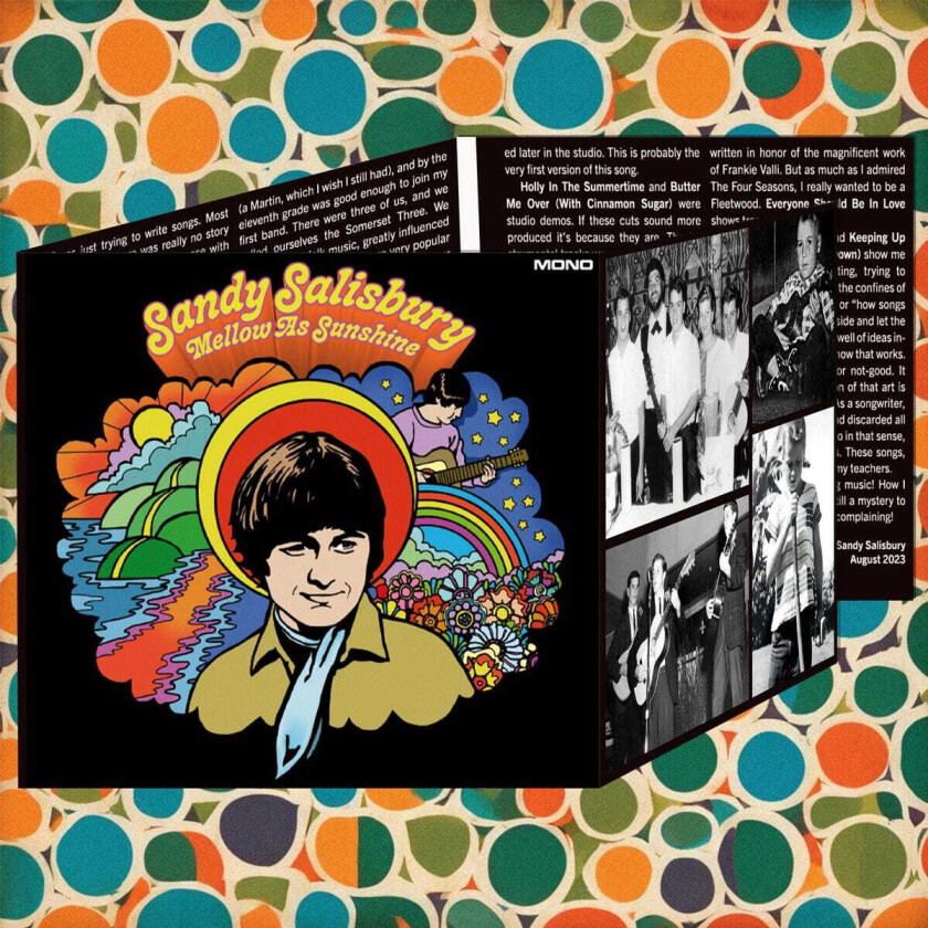 Sandy Salisbury Mellow As Sunshine CD