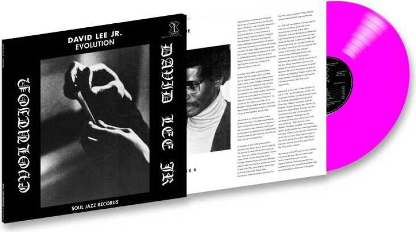 David Lee Jr. Evolution LP/Vinyl
