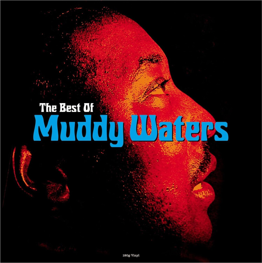 Muddy Waters The Best Of Muddy Waters LP/Vinyl