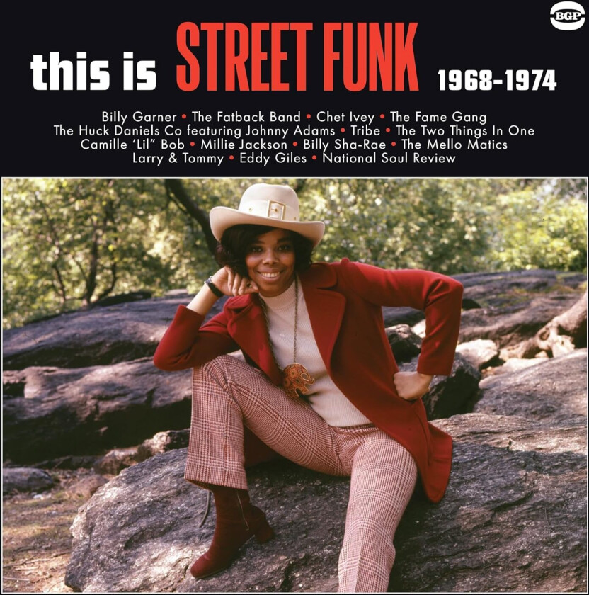 Diverse Soul This Is Street Funk 19681974 LP/Vinyl