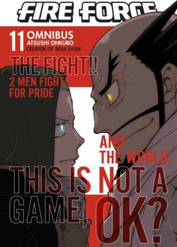 Fire Force Omnibus 11 (Vol. 3132)