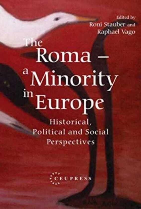 The Roma A Minority in Europe Historical, Political and Social Perspectives