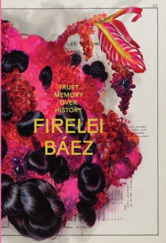 Firelei Baez: Trust Memory over History