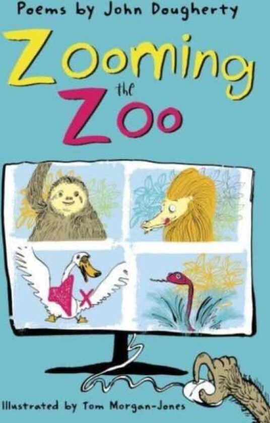 Zooming the Zoo