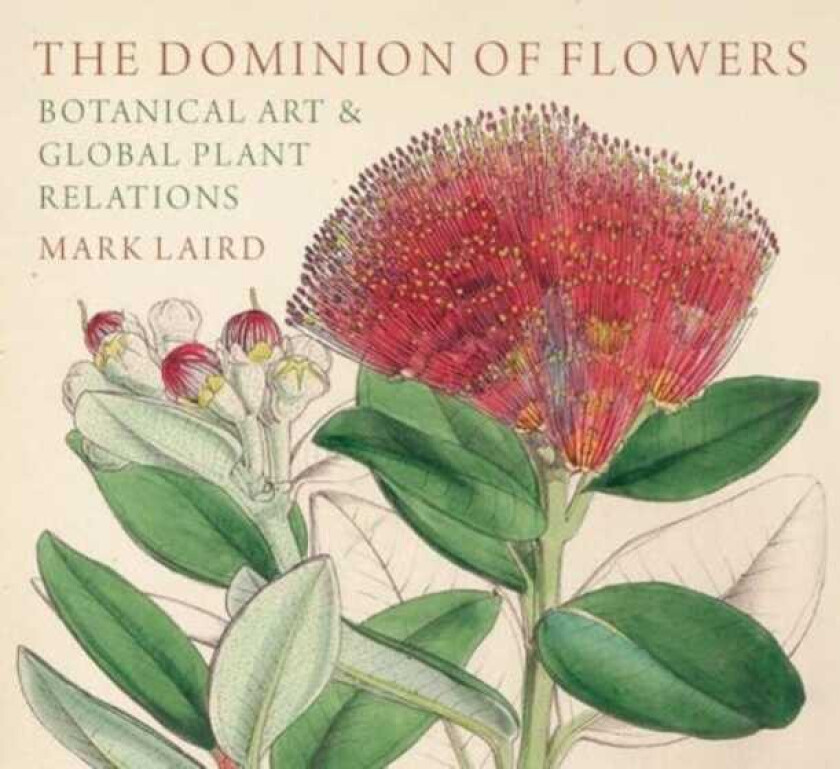 The Dominion of Flowers Botanical Art and Global Plant Relations