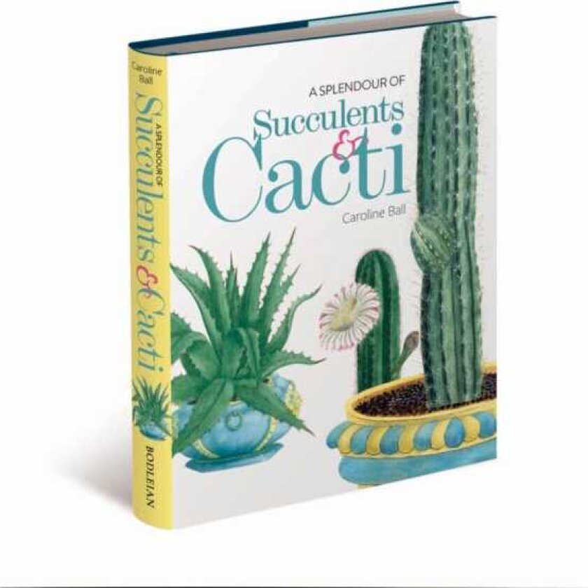 A Splendour of Succulents & Cacti