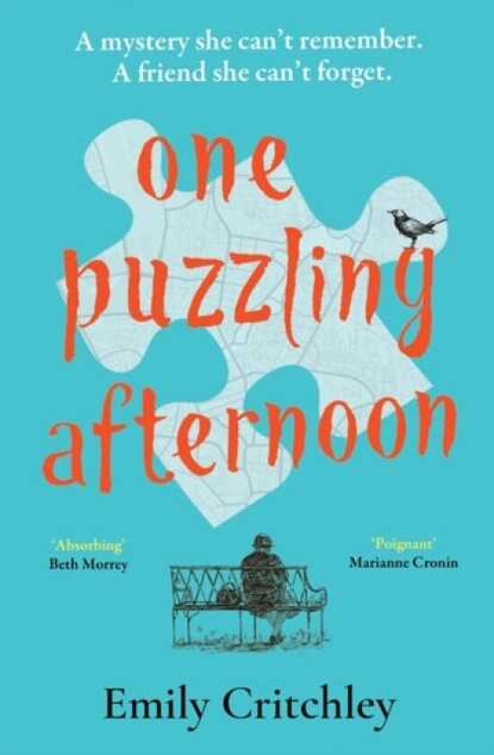 One Puzzling Afternoon A heartbreaking, captivating mystery for fans of The List of Suspicious Things