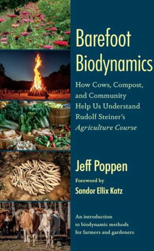 Barefoot Biodynamics How Cows, Compost, and Community Help Us Understand Rudolf Steiner’s Agriculture Course