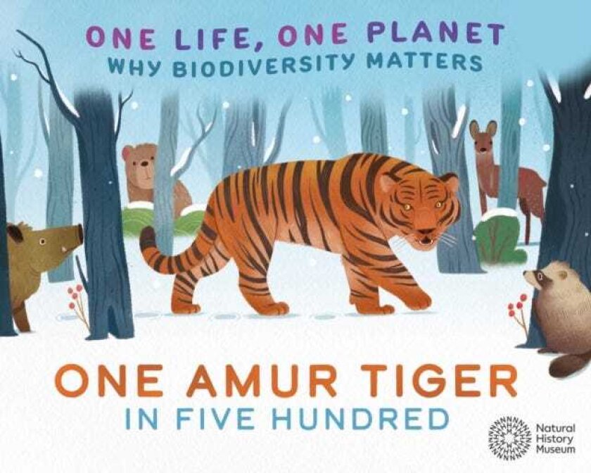 One Life, One Planet: One Amur Tiger in Five Hundred Why Biodiversity Matters
