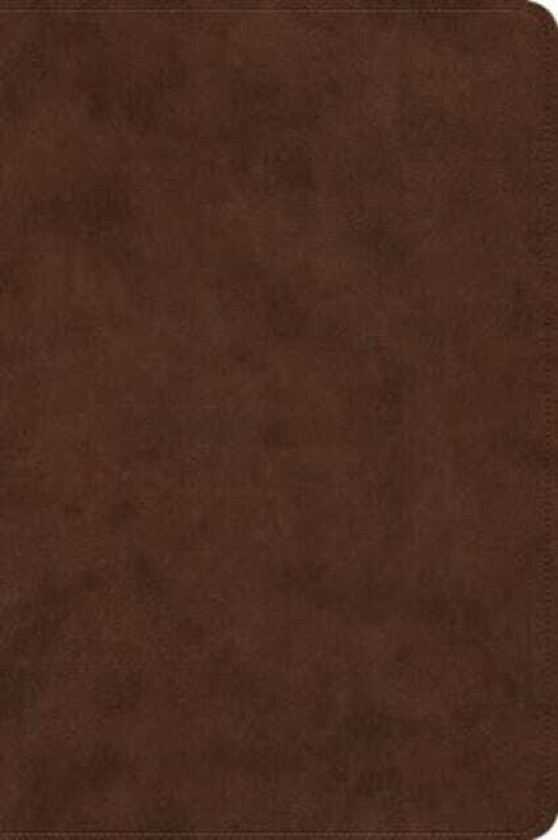 ESV Holy Bible DyslexiaFriendly Edition (TruTone, Brown)