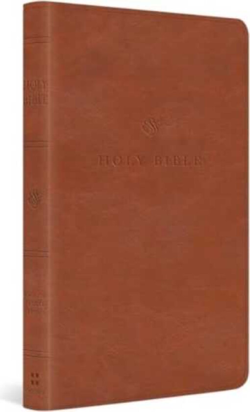 ESV Value Thinline Bible