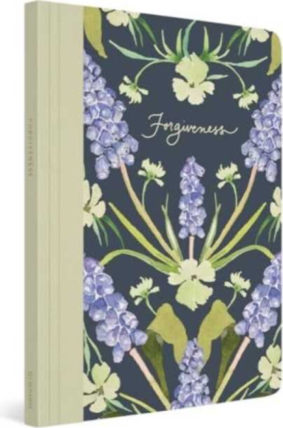 ESV Prayer Journal 30 Days on Forgiveness (Paperback)