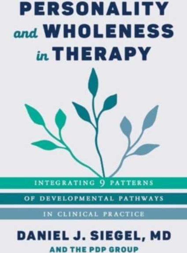 Personality and Wholeness in Therapy Integrating 9 Patterns of Developmental Pathways in Clinical Practice