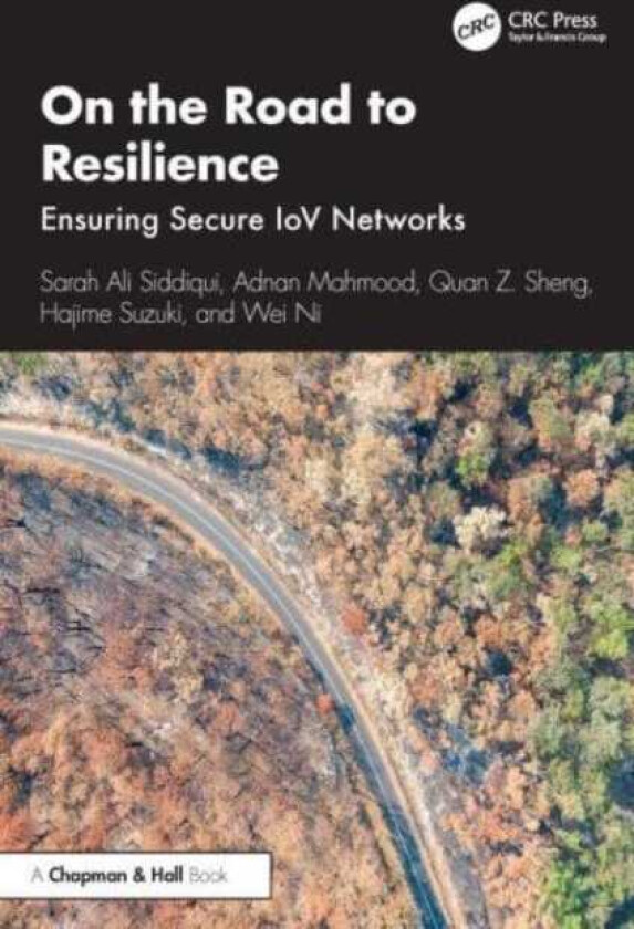 On the Road to Resilience Ensuring Secure IoV Networks
