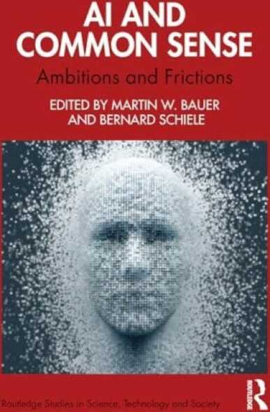 AI and Common Sense Ambitions and Frictions