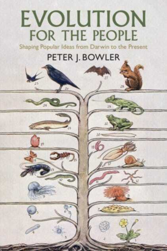 Evolution for the People  Shaping Popular Ideas from Darwin to the Present