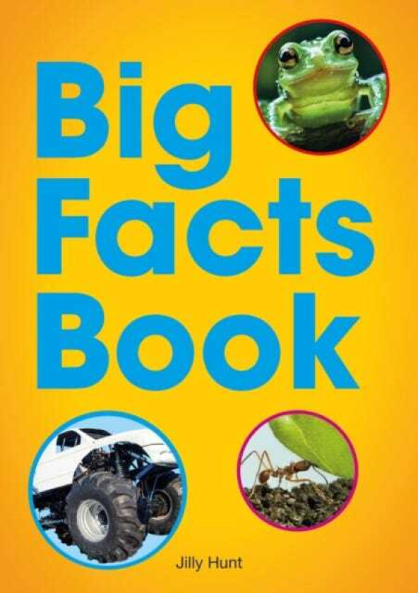 Big Facts Book (Set 07)