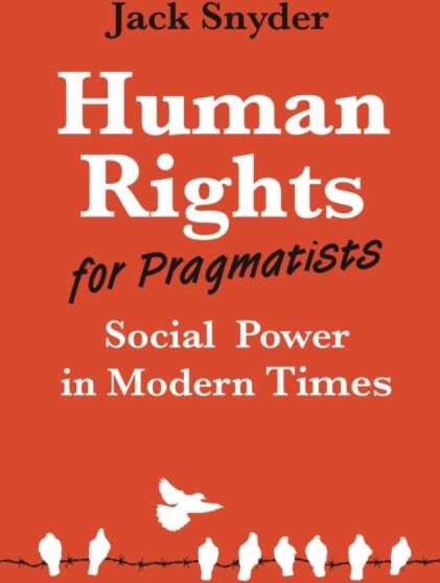 Human Rights for Pragmatists  Social Power in Modern Times