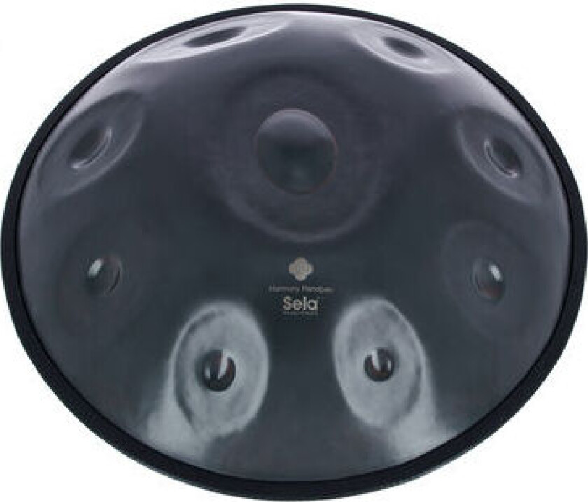 Harmony Handpan D Amara 205