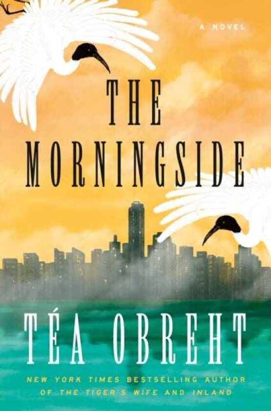 The Morningside A Novel