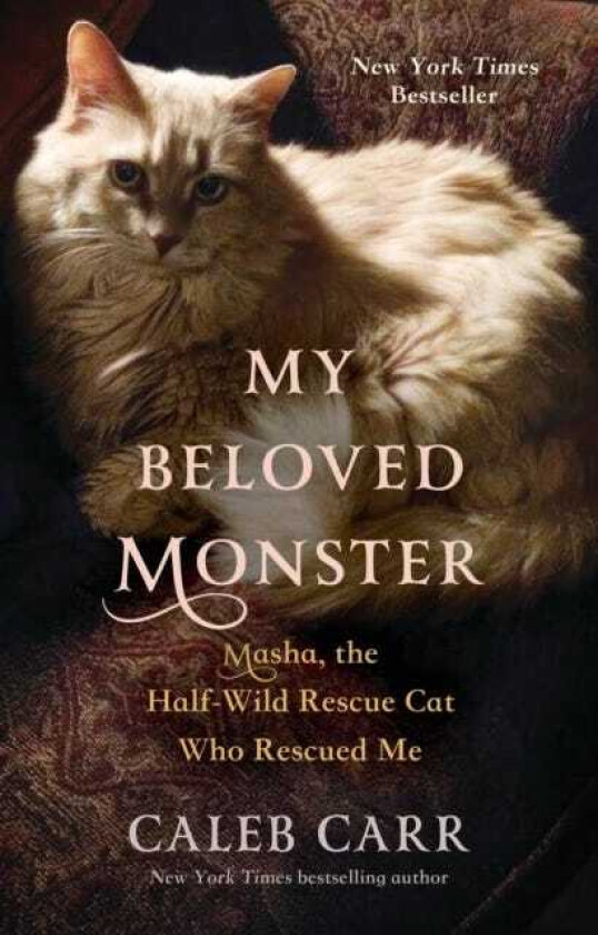 My Beloved Monster : Masha, the Halfwild Rescue Cat Who Rescued Me