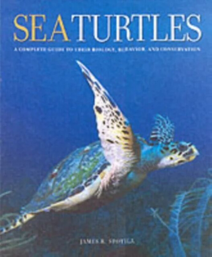 Sea Turtles av James R. (Drexel University) Spotila